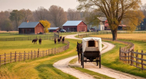 A peaceful Amish farm in Reedsburg with horses and buggies